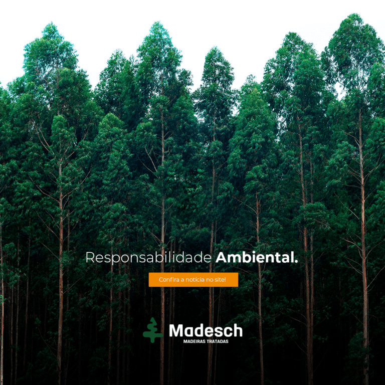 Responsabilidade Ambiental