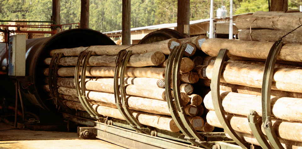 Madesch é uma empresa referência no assunto com o tratamento de madeira por Osmose K33C.