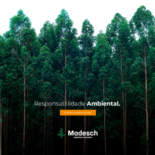 Responsabilidade Ambiental